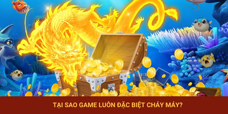 Các dịch vụ chất lượng 10 điểm không có nhưng