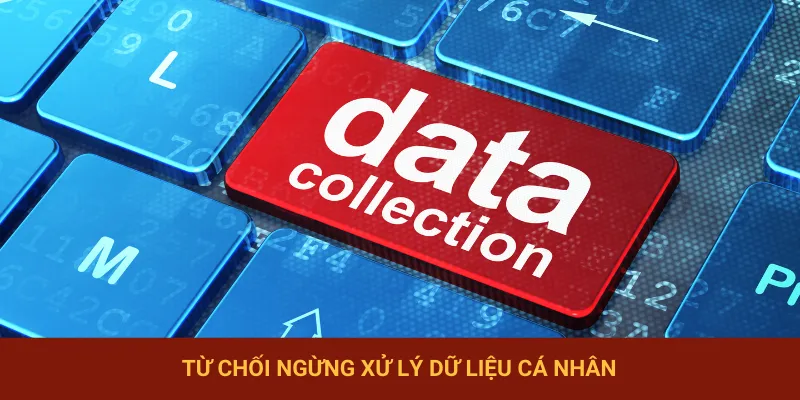 Quyền lợi của bet thủ khi chơi tại nhà cái