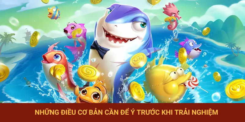 Một số điều nhỏ cần để ý hơn khi chơi