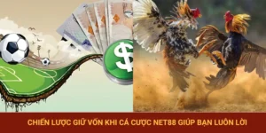 NET88