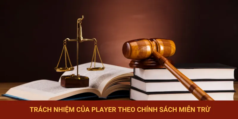 Nghĩa vụ các thành viên tham gia cần thực hiện